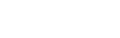 VICE